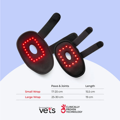 light therapy for small dogs