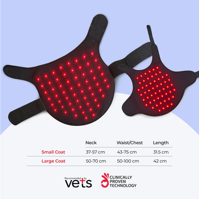 light therapy for large dogs