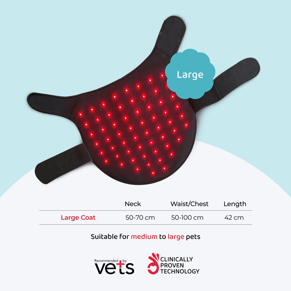 arthritis dog remedy