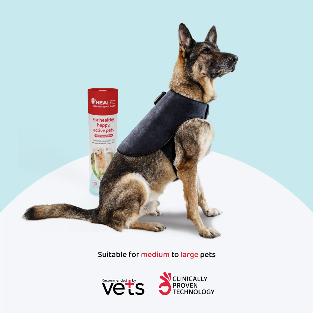 Light Therapy Coat Pets