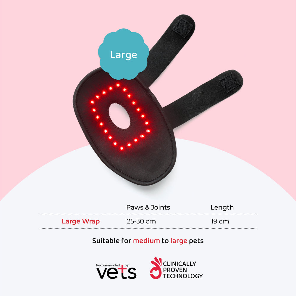 Red Light Therapy for Pets
