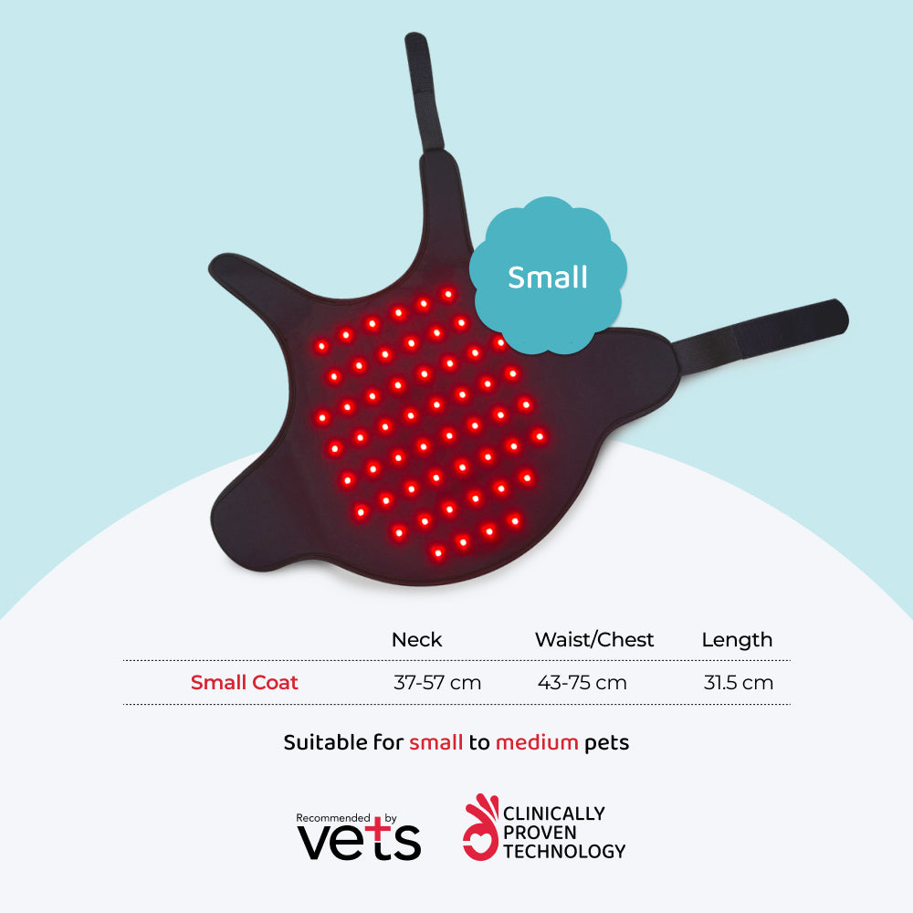 arthritis in dogs treatments