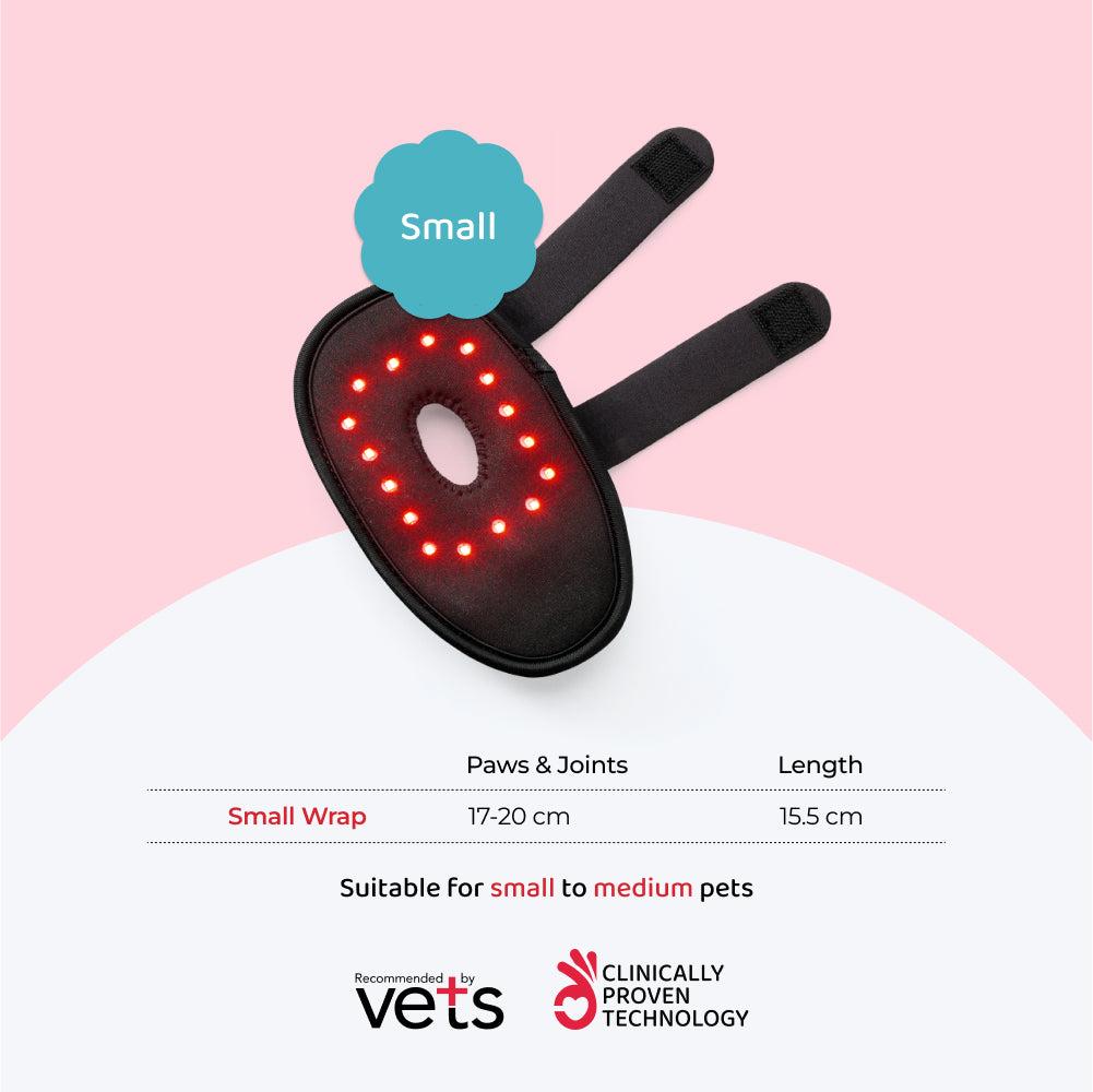dog joint care