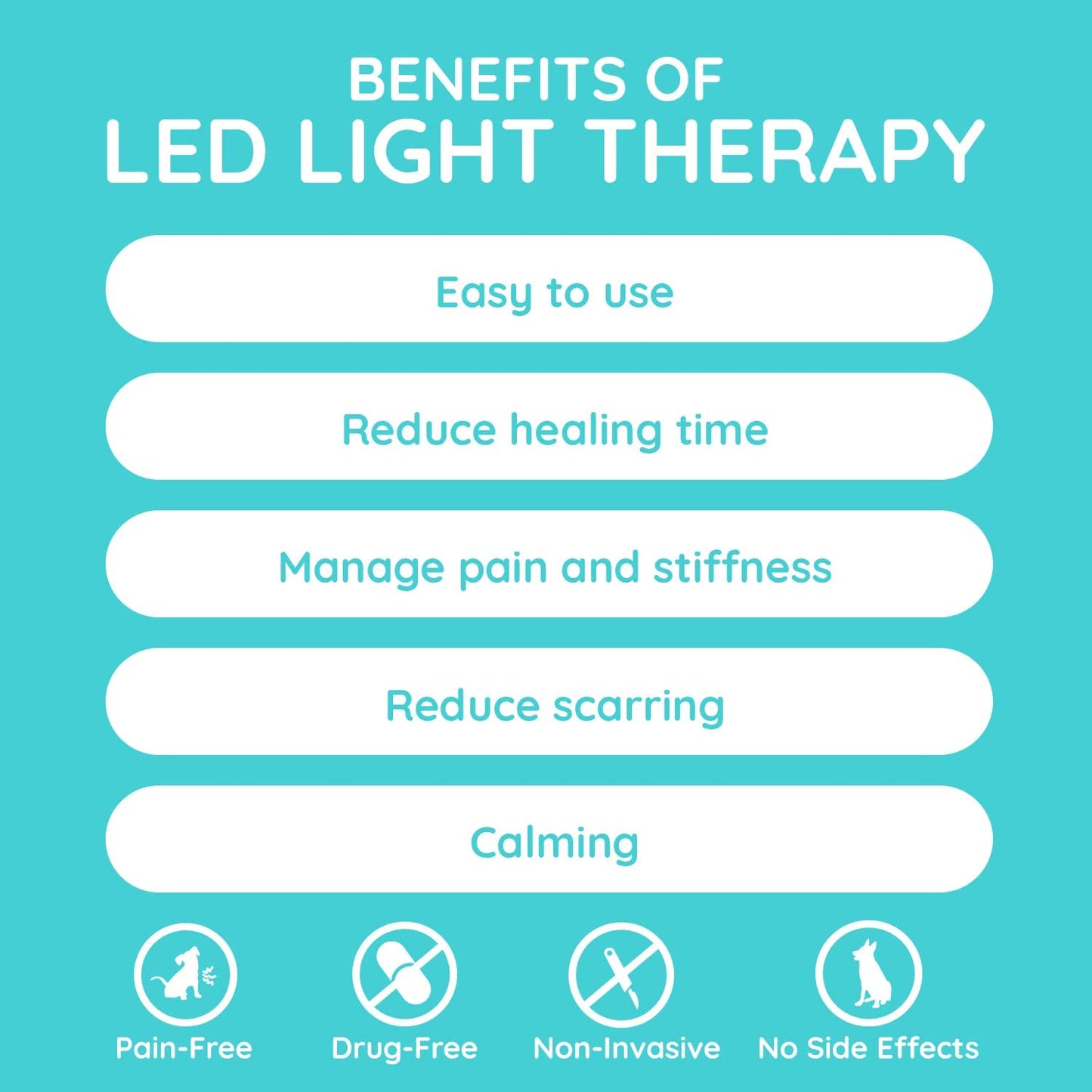 Benefits of LED Light Therapy for pets