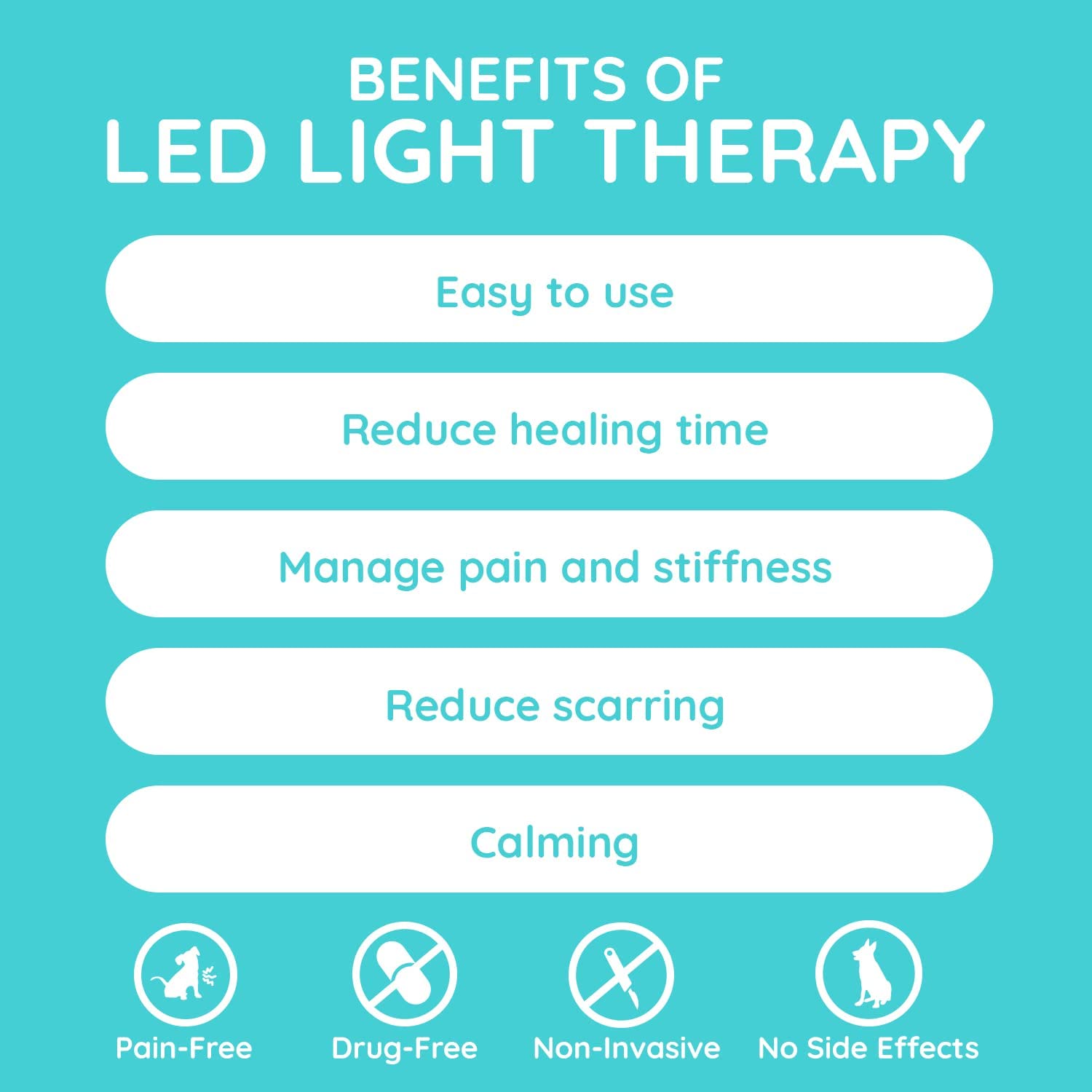 Benefits of LED Light Therapy for pets