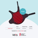 arthritis in dogs treatments