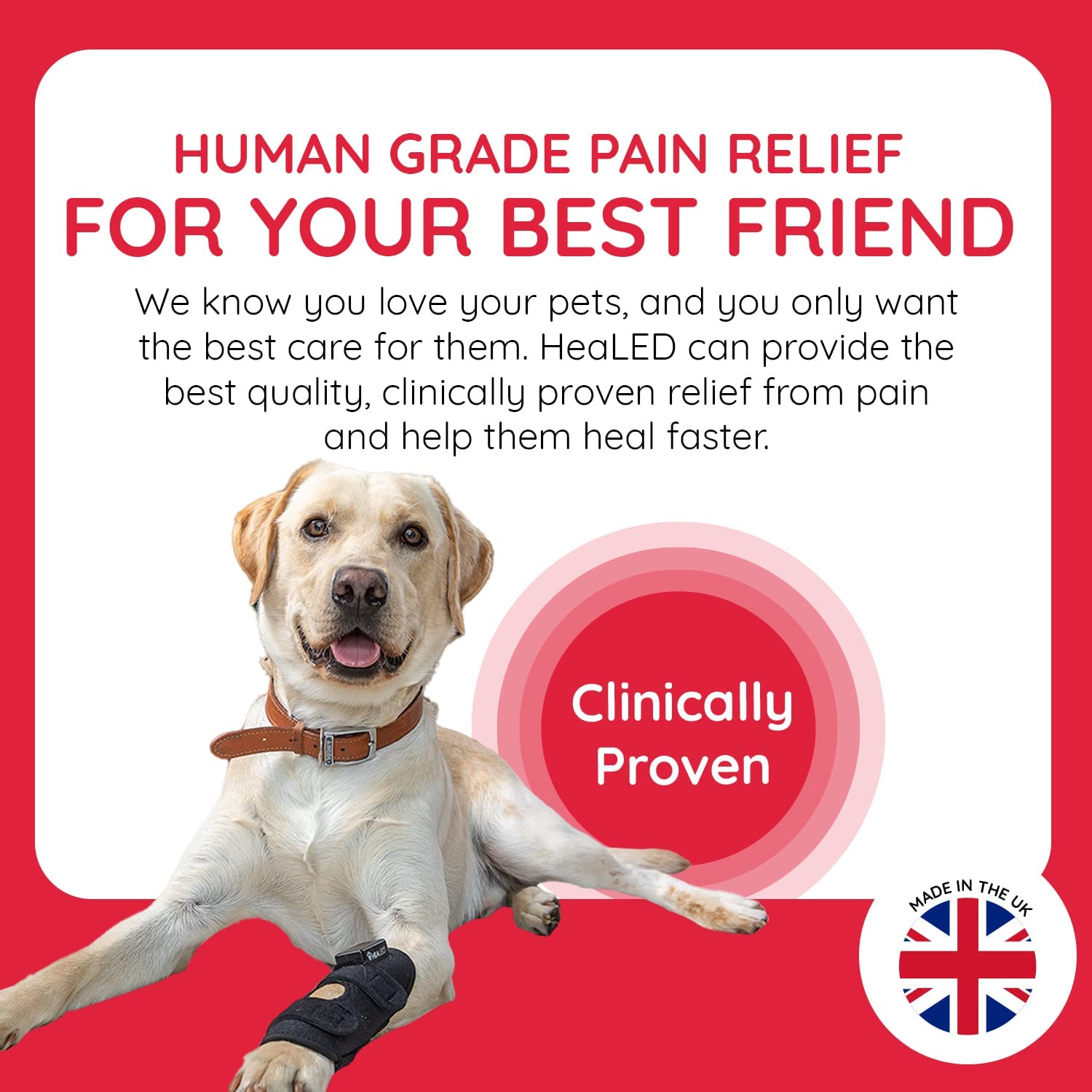 Human pain sales reliever for dogs