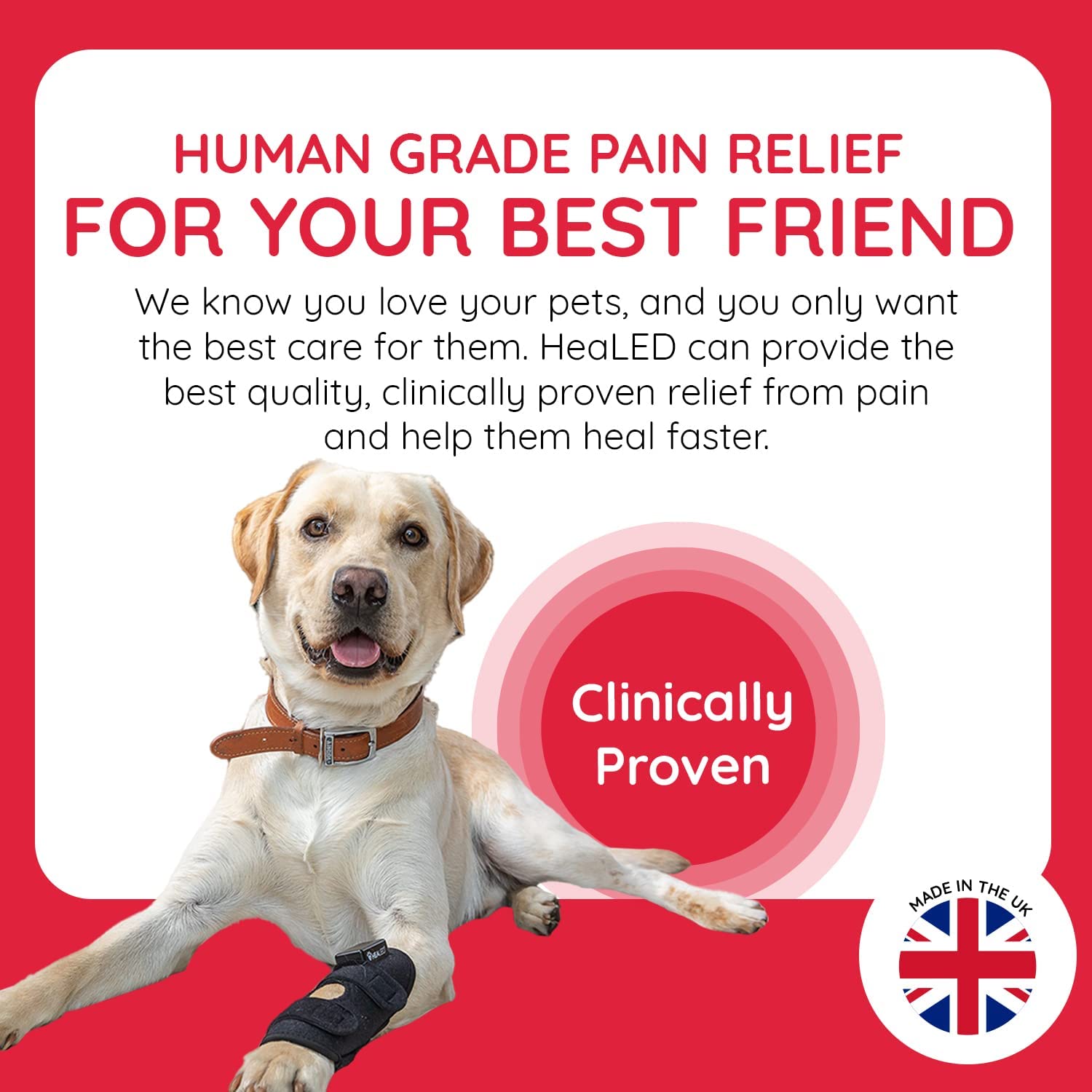 LED technology provides human grade pain relief for your pet