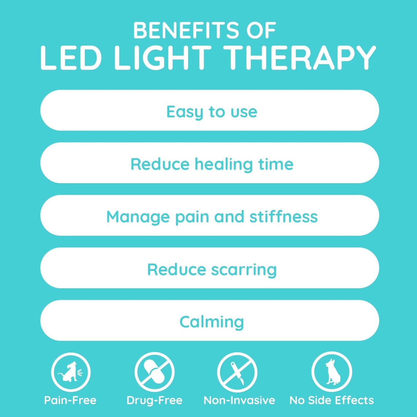 Benefits of LED Light Therapy for pets